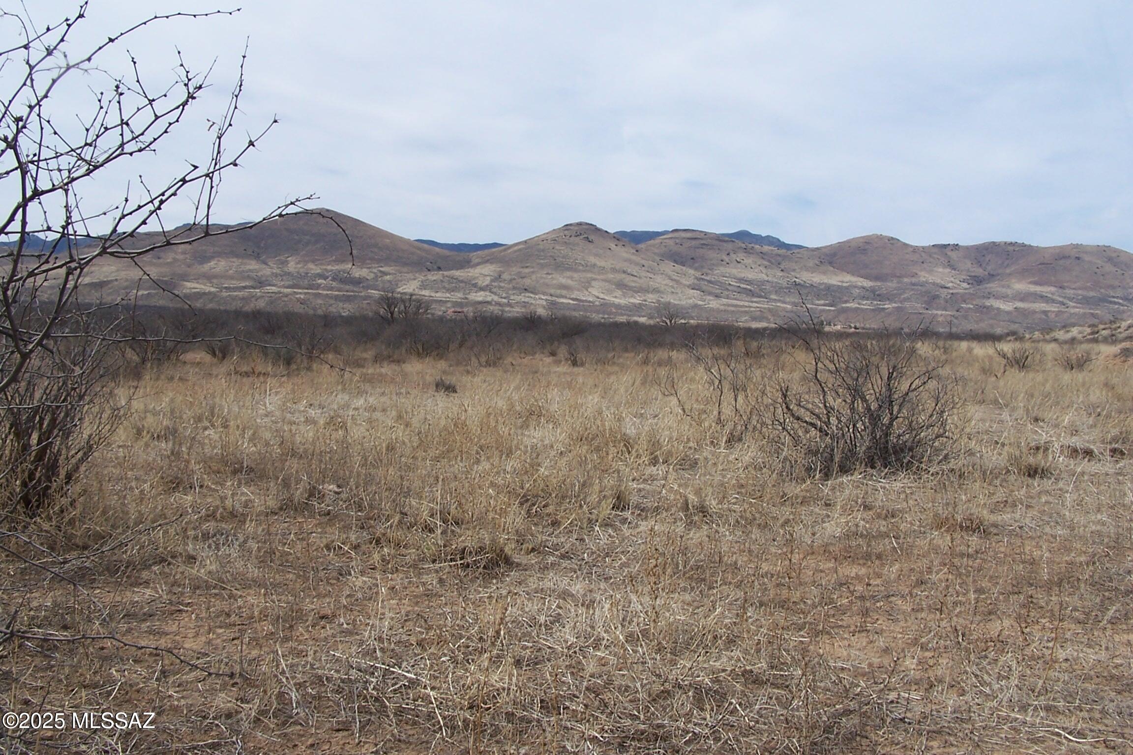 Out Of Pima County - Land