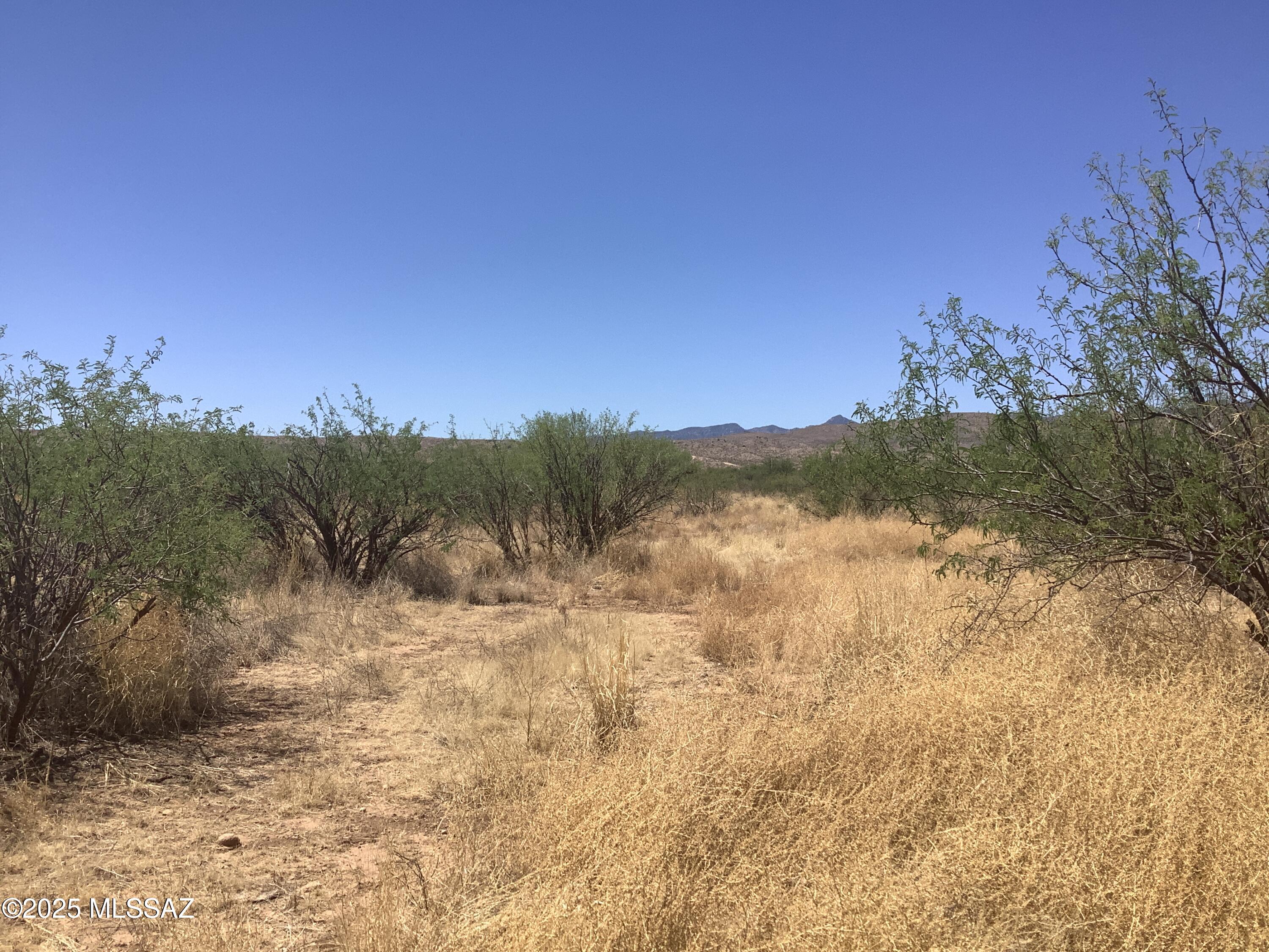 Out Of Pima County - Land