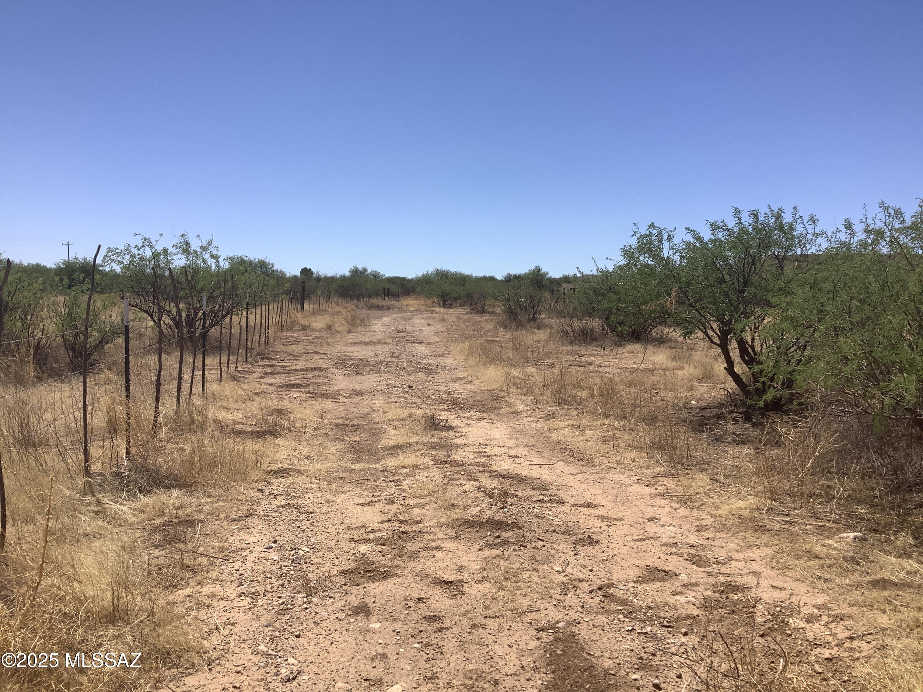Out Of Pima County - Land