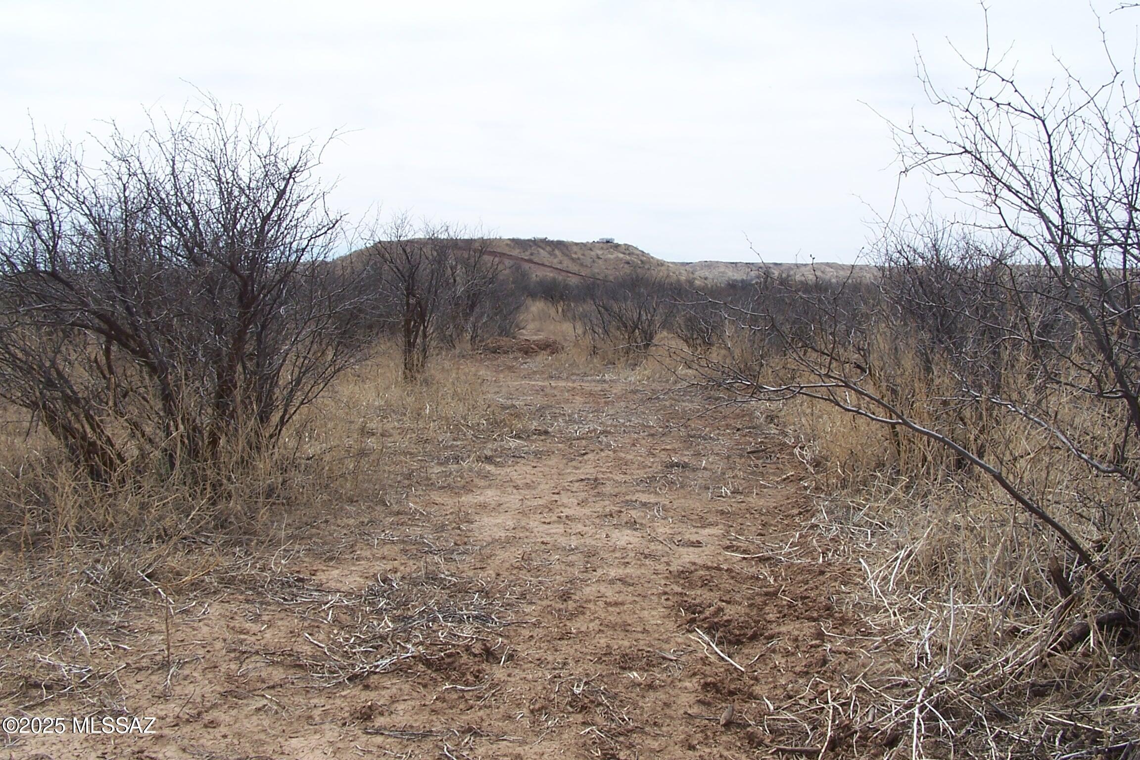 Out Of Pima County - Land