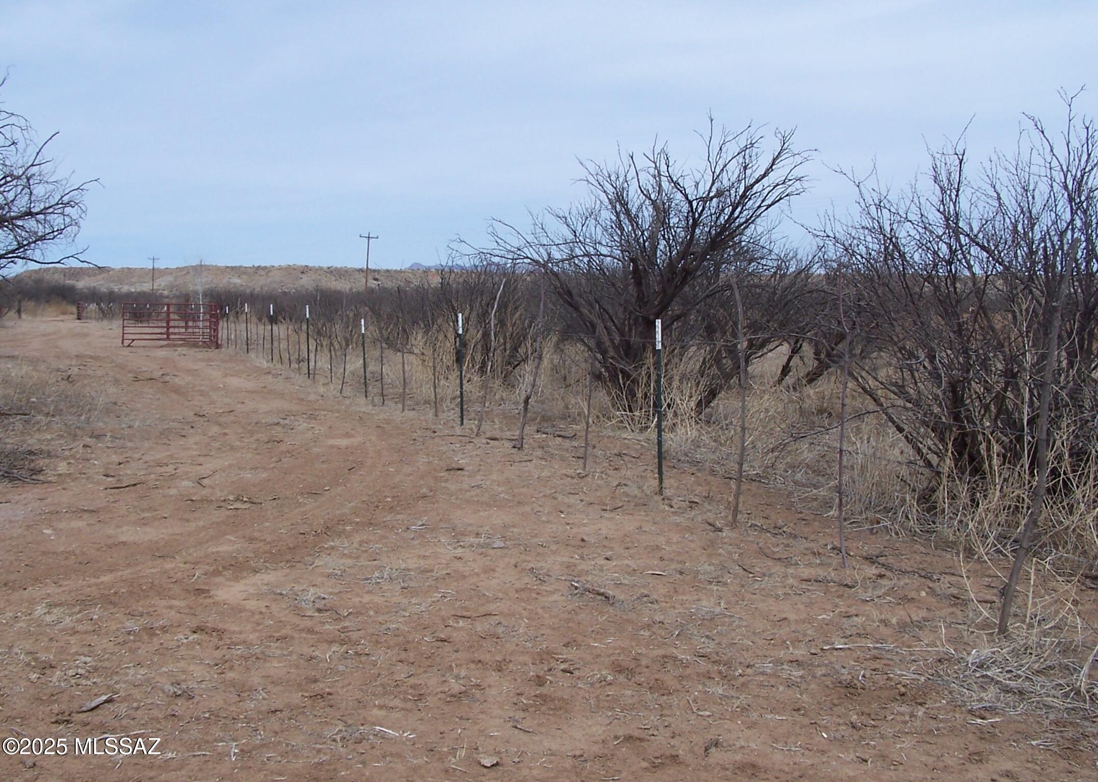 Out Of Pima County - Land