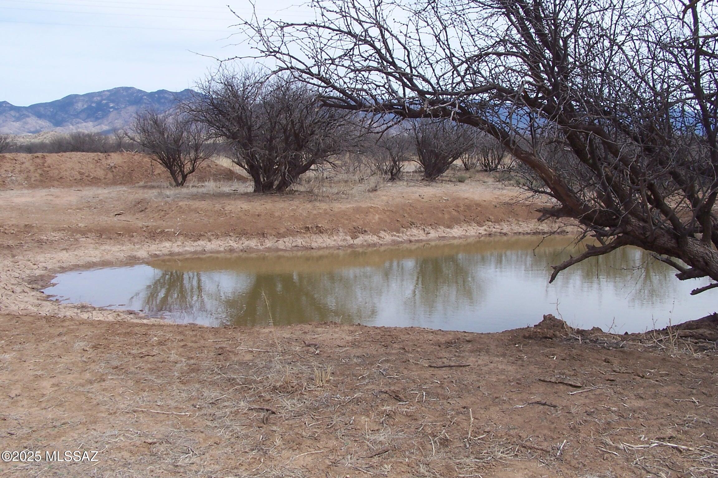 Out Of Pima County - Land