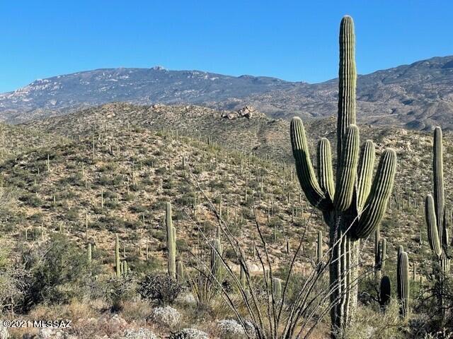 Rinconado Estates (1-13) - Land