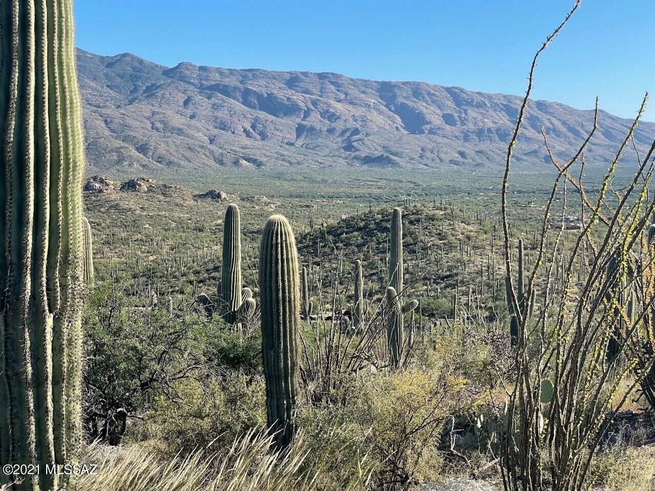 Rinconado Estates (1-13) - Land
