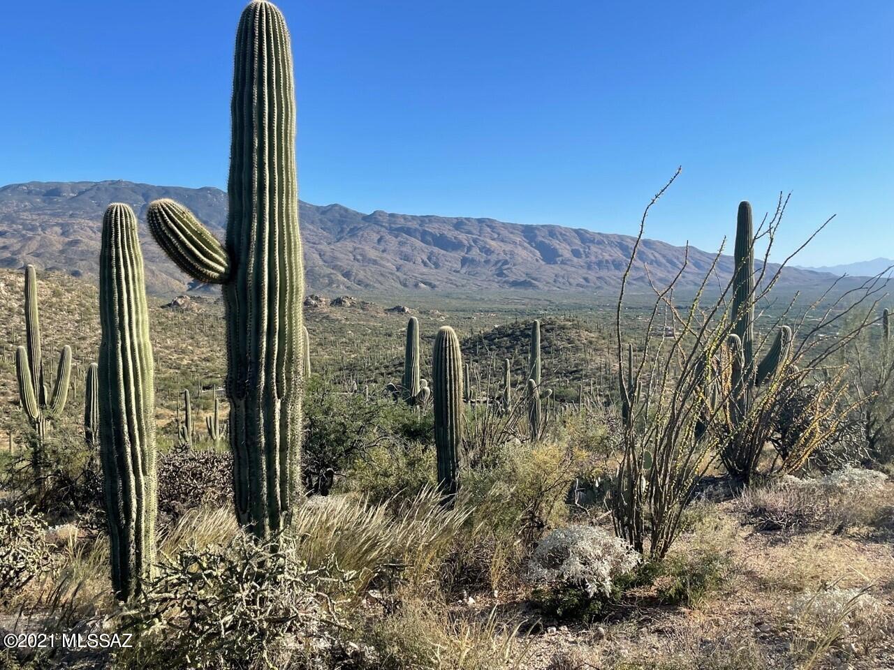 Rinconado Estates (1-13) - Land