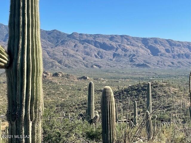 Rinconado Estates (1-13) - Land