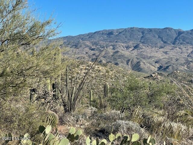 Rinconado Estates (1-13) - Land