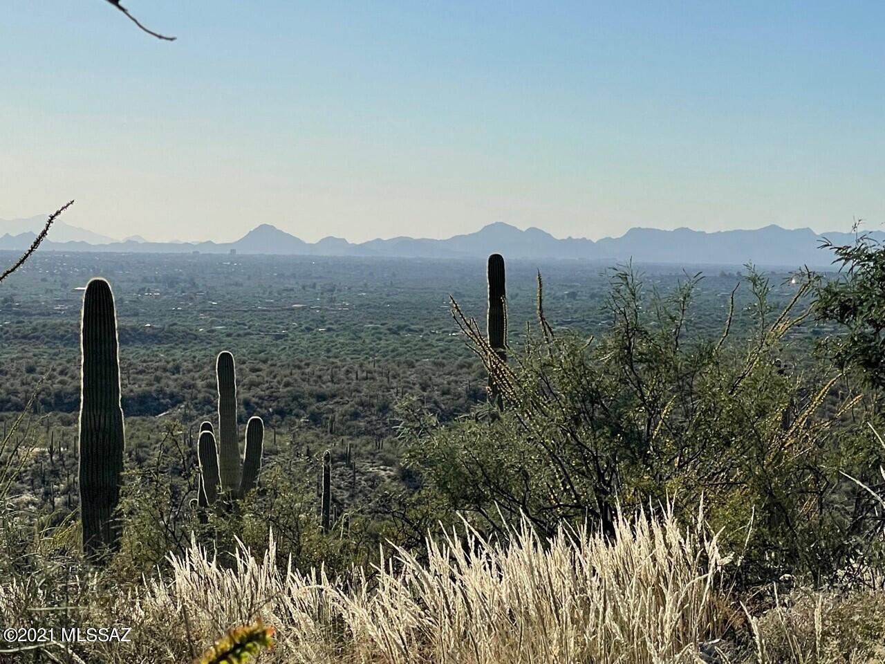 Rinconado Estates (1-13) - Land