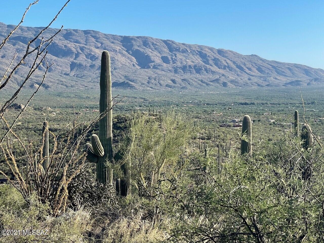 Rinconado Estates (1-13) - Land