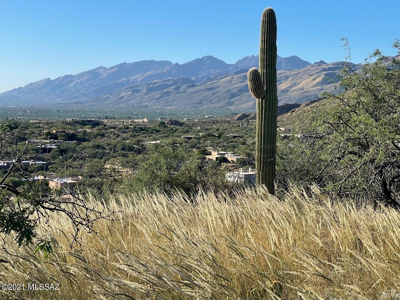 Rinconado Estates (1-13) - Land