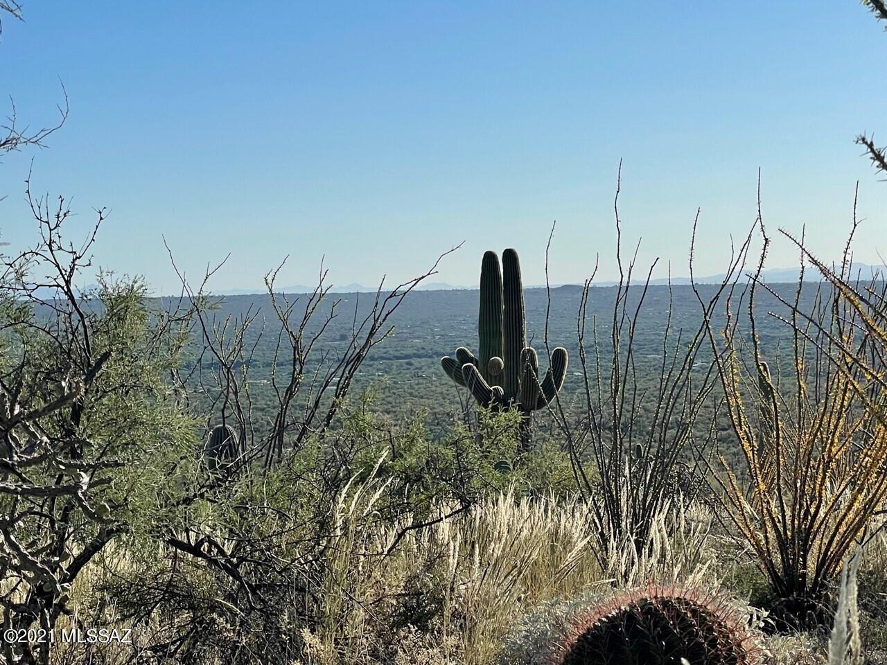 Rinconado Estates (1-13) - Land