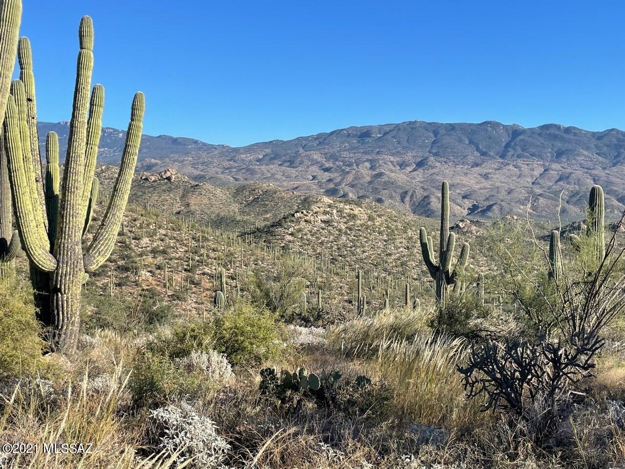 Rinconado Estates (1-13) - Land