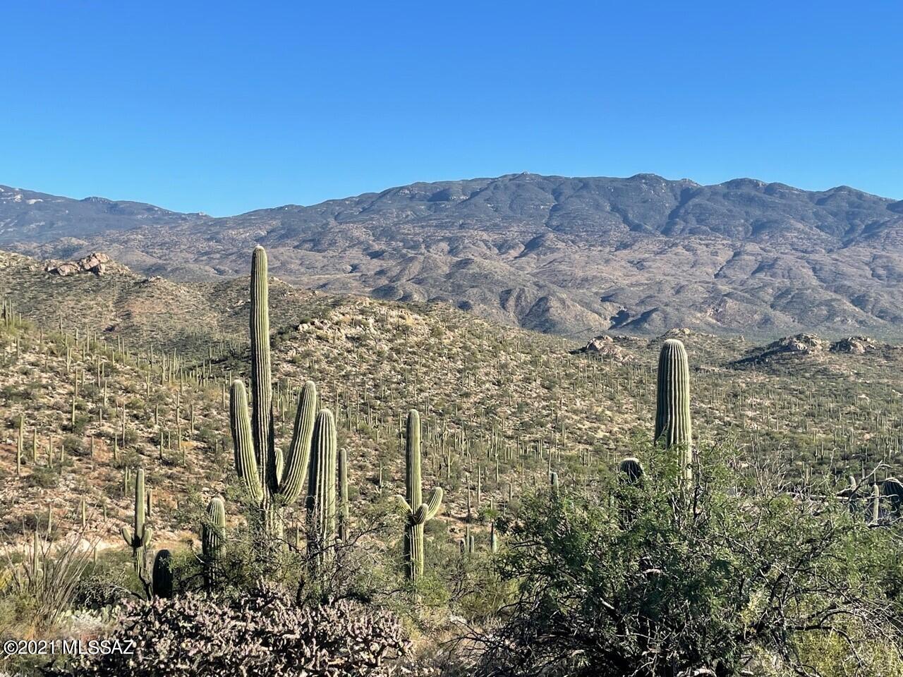 Rinconado Estates (1-13) - Land
