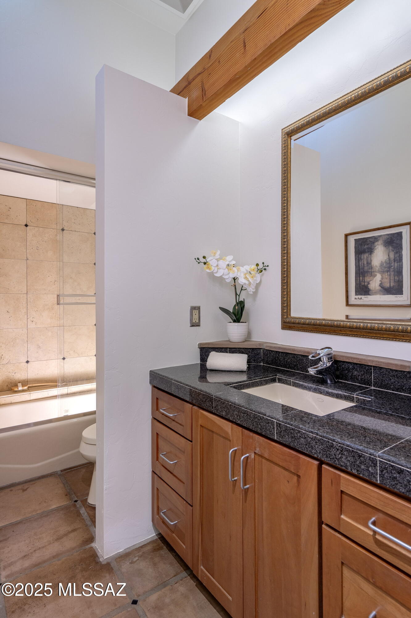 Catalina Foothills Estates NO. 10 (212-232) - Residential