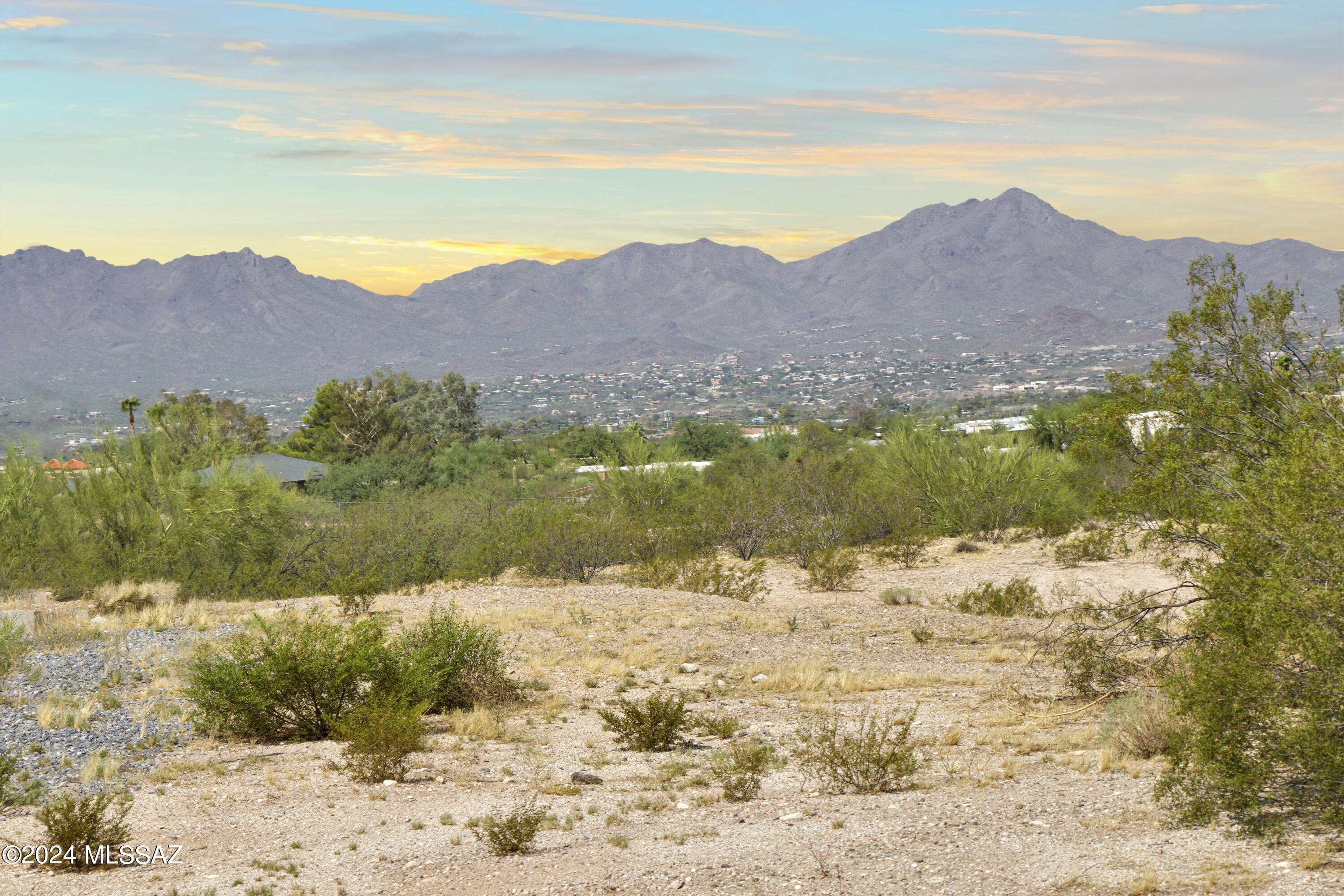 View Tucson, AZ 85704 property