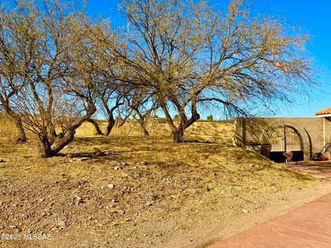 A home in Rio Rico