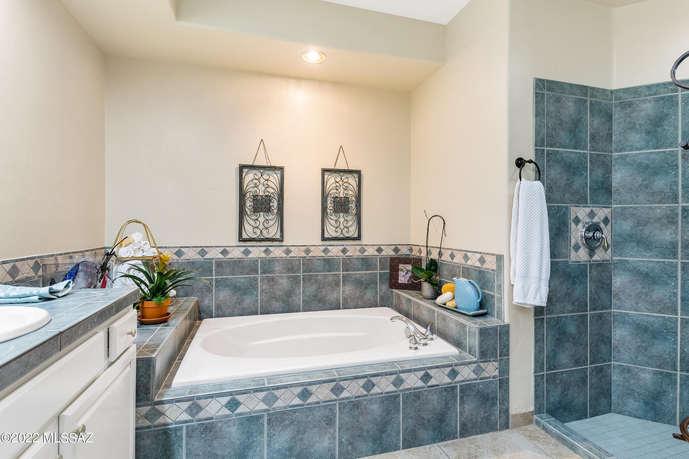 Rancho Vistoso Nghbr 11 - Residential