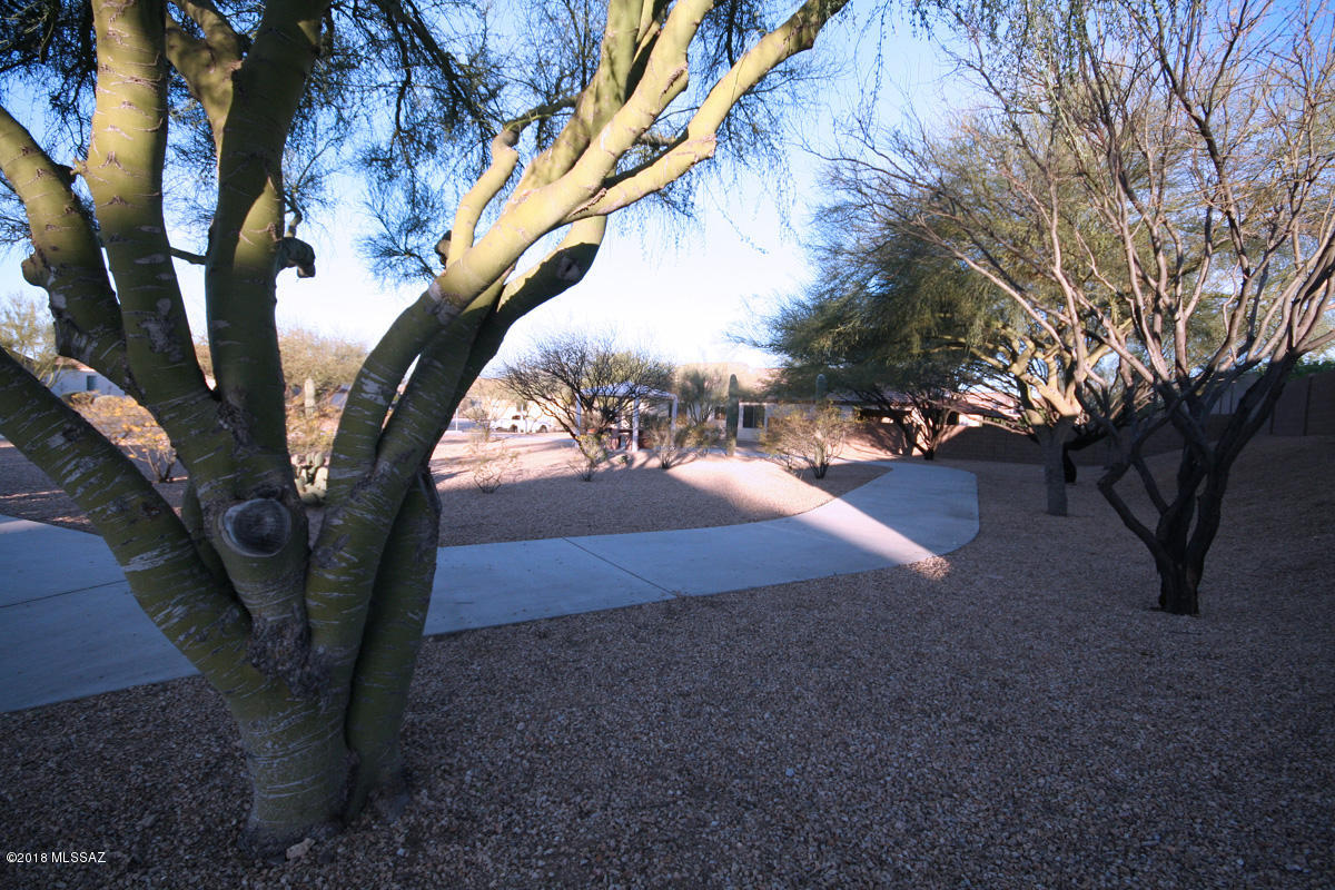 Tucson Mountain Sanctuary (1-154) - Residential