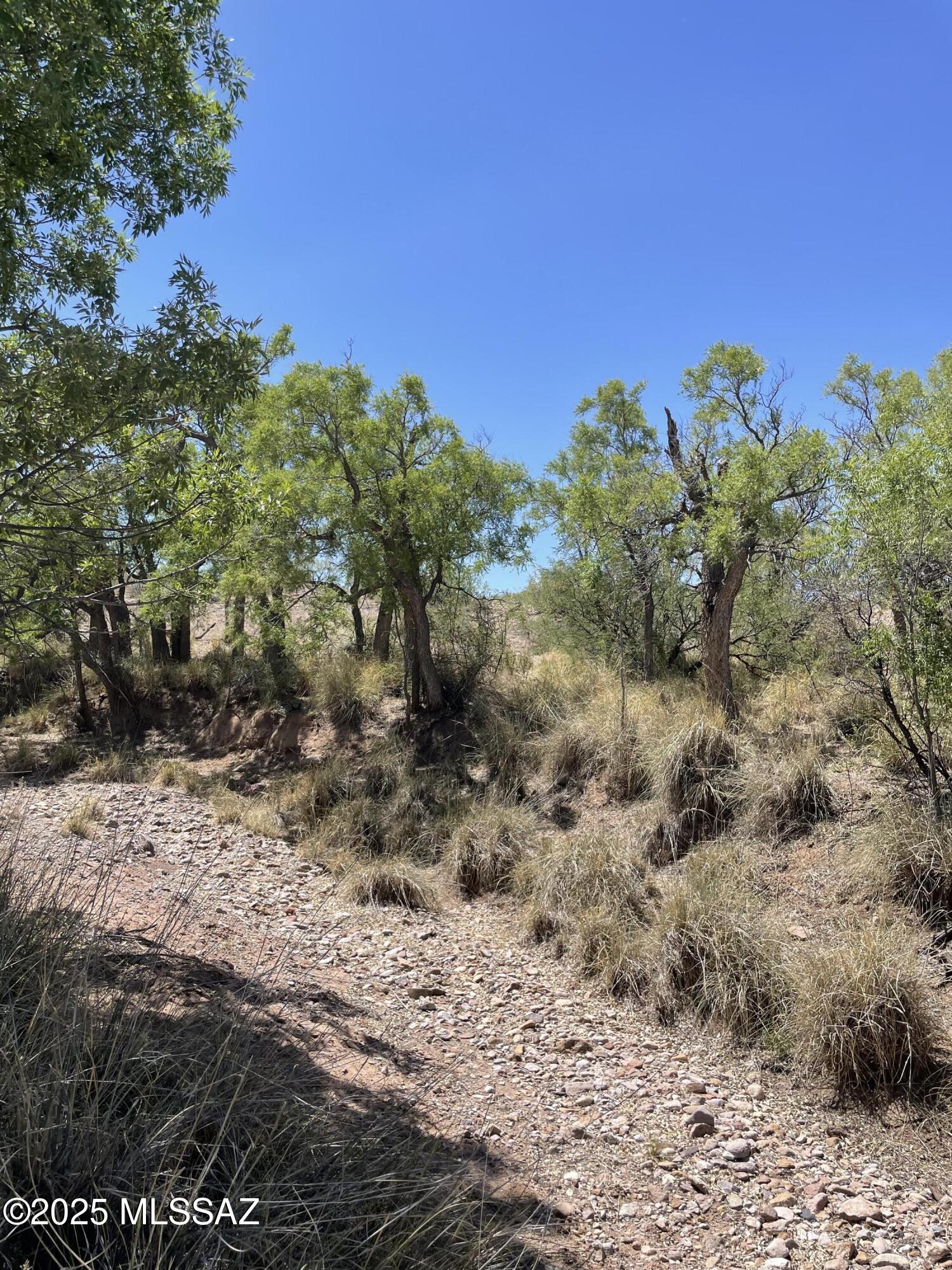 Ash Creek Ranch - Land