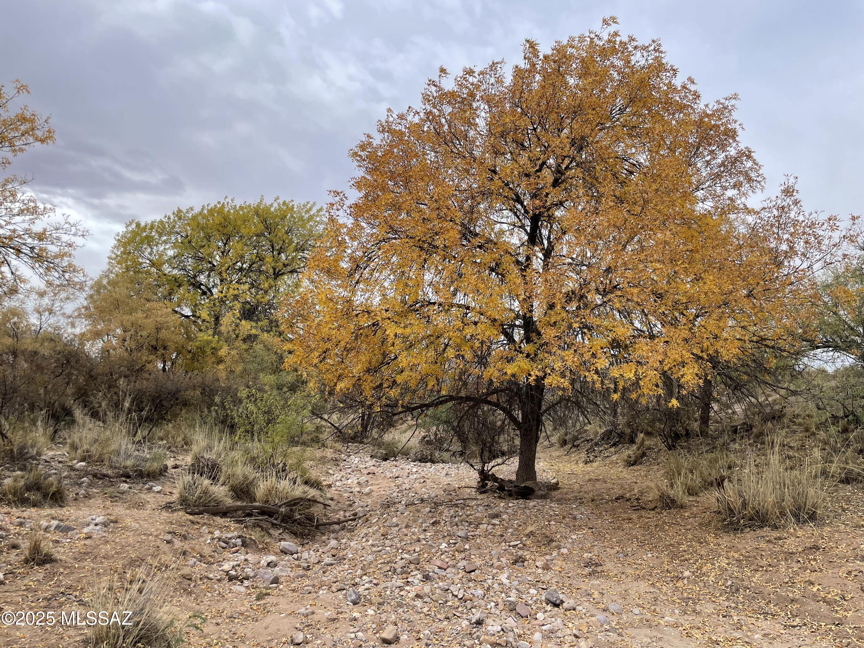 Ash Creek Ranch - Land