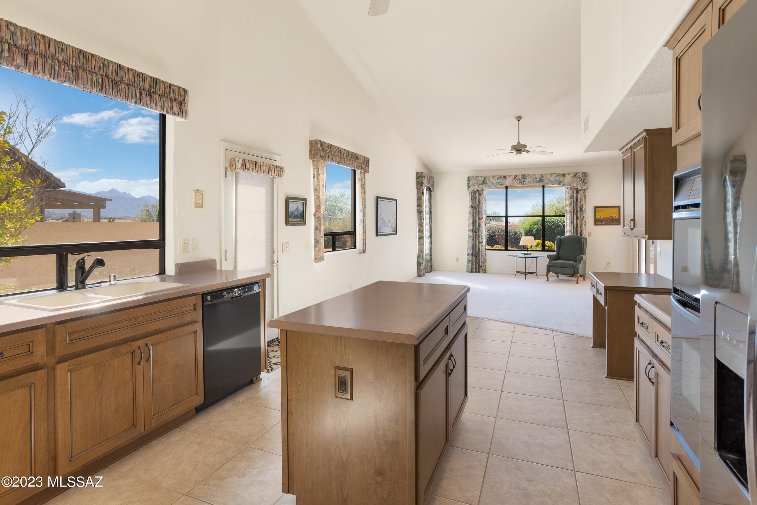 Saddlebrooke - Residential