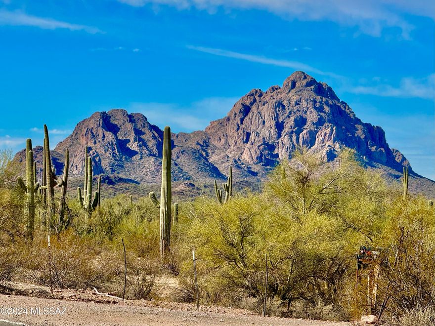 Gorgeous lot bordering bordering Ironwood National Monument West, which is 129,000 acres managed by  the BLM, this lot has it all.  A well share for water, undreground power at the lot line, fully fenced, asphalt road, tall Saguaros, mountain views, and tons of privacy all come with this lot.  Zoned as Rural, you have the freedom to do site built, manufactured, have horses, livestock with tons of room for your toys, RV's, and anything else your hear desires. SELLER FINANCING AVAILABLE