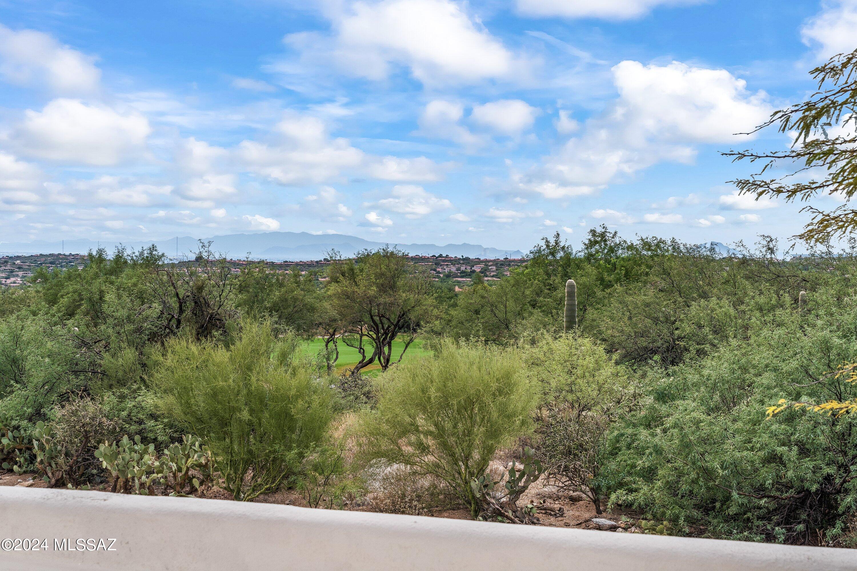 Ventana Canyon Estates (1-63) - Residential