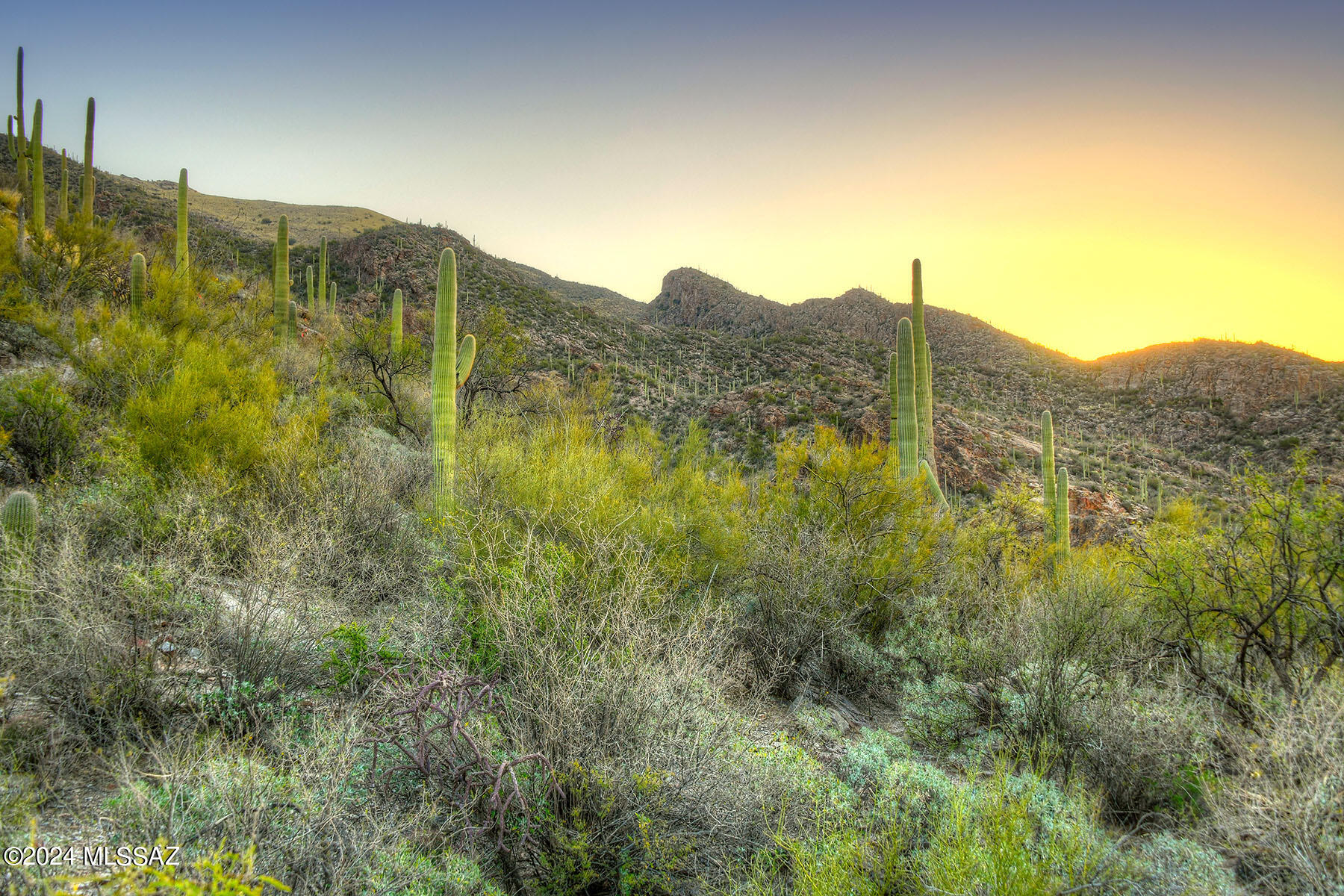 Ventana Heights III - Residential