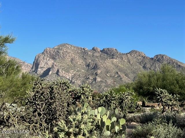 Oro Valley Estates - Land