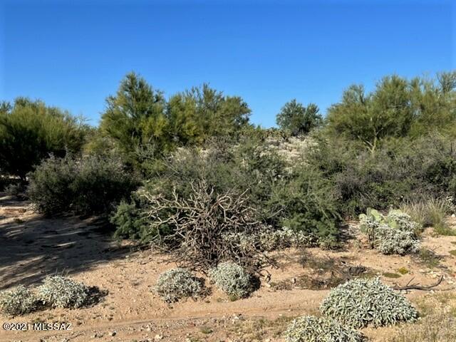 Oro Valley Estates - Land
