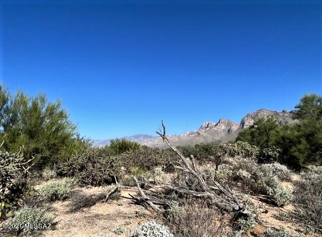Oro Valley Estates - Land