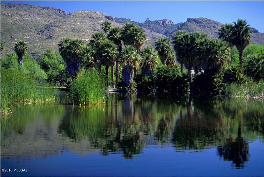 Agua Caliente Estates (1-82) - Residential