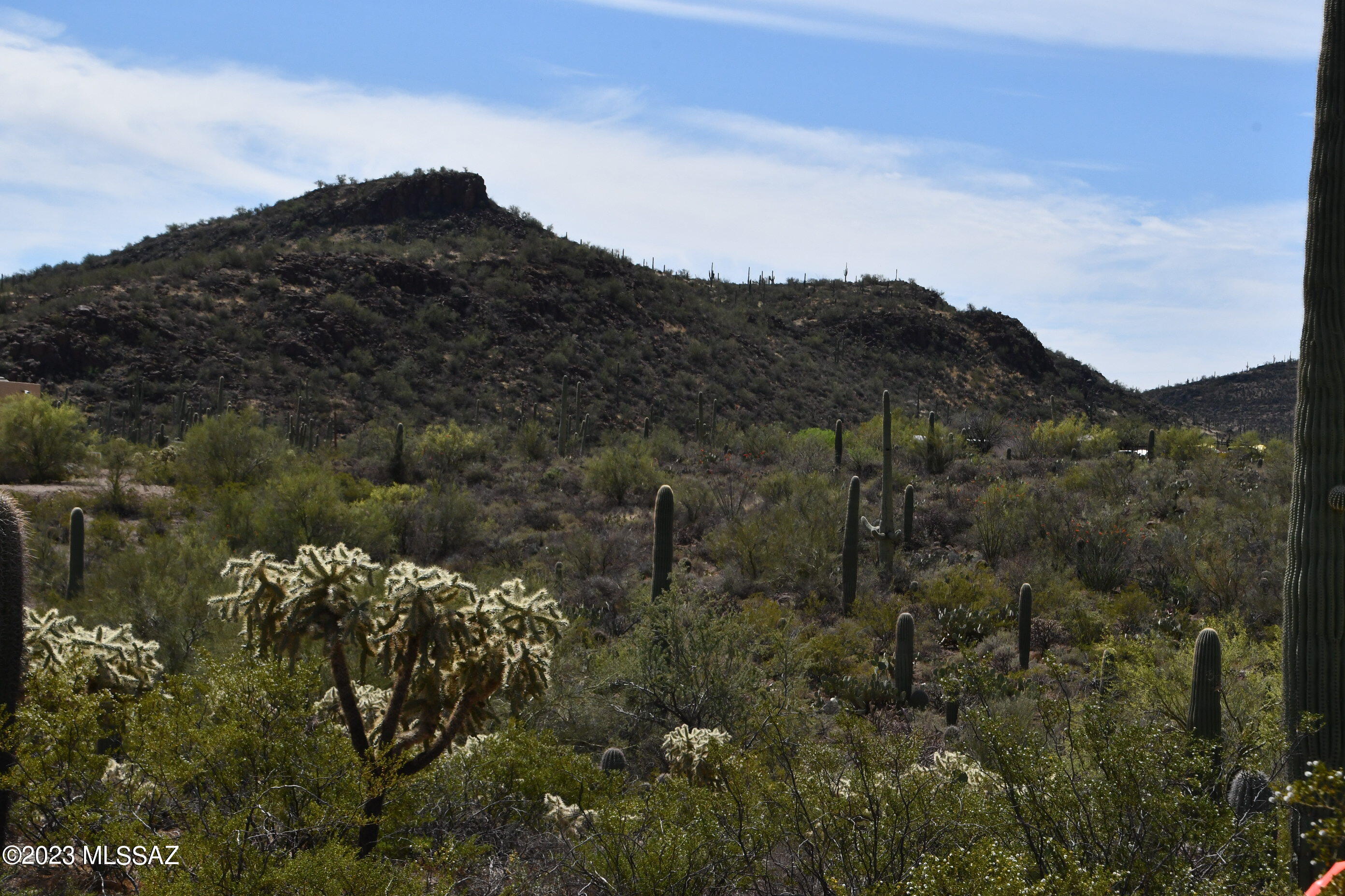 View Tucson, AZ 85743 land