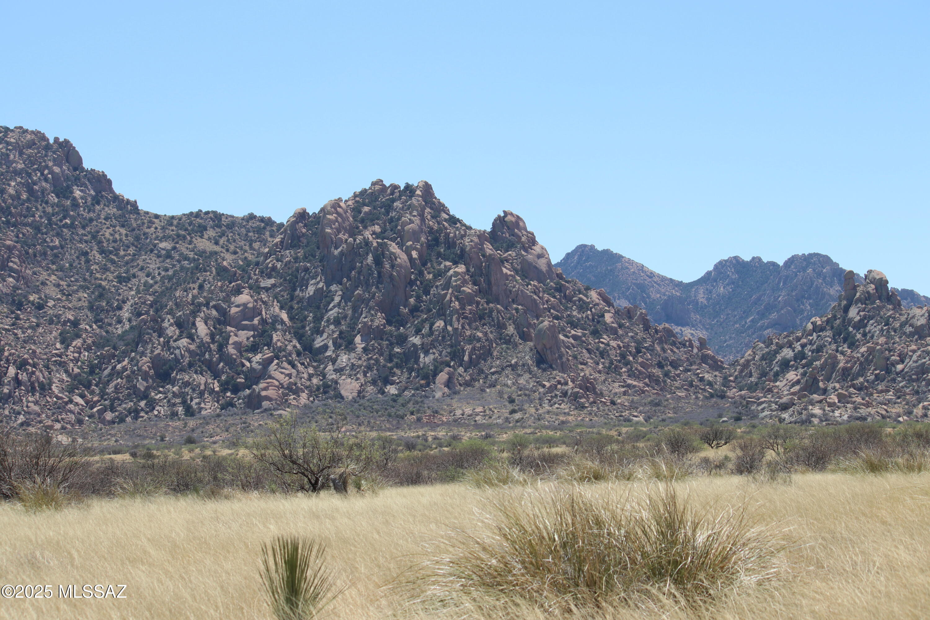 Dragoon Mountain Ranch - Land