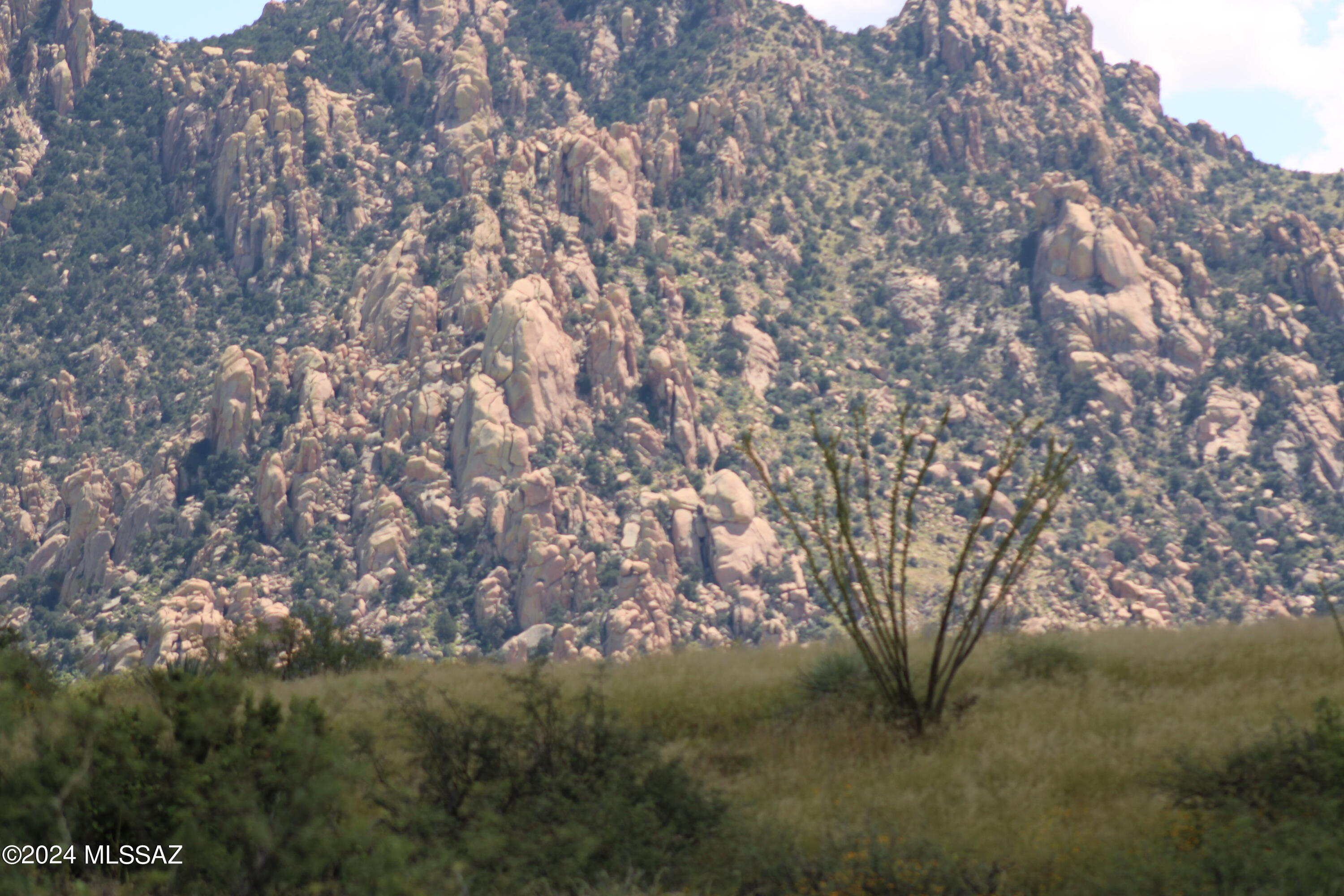 Dragoon Mountain Ranch - Land