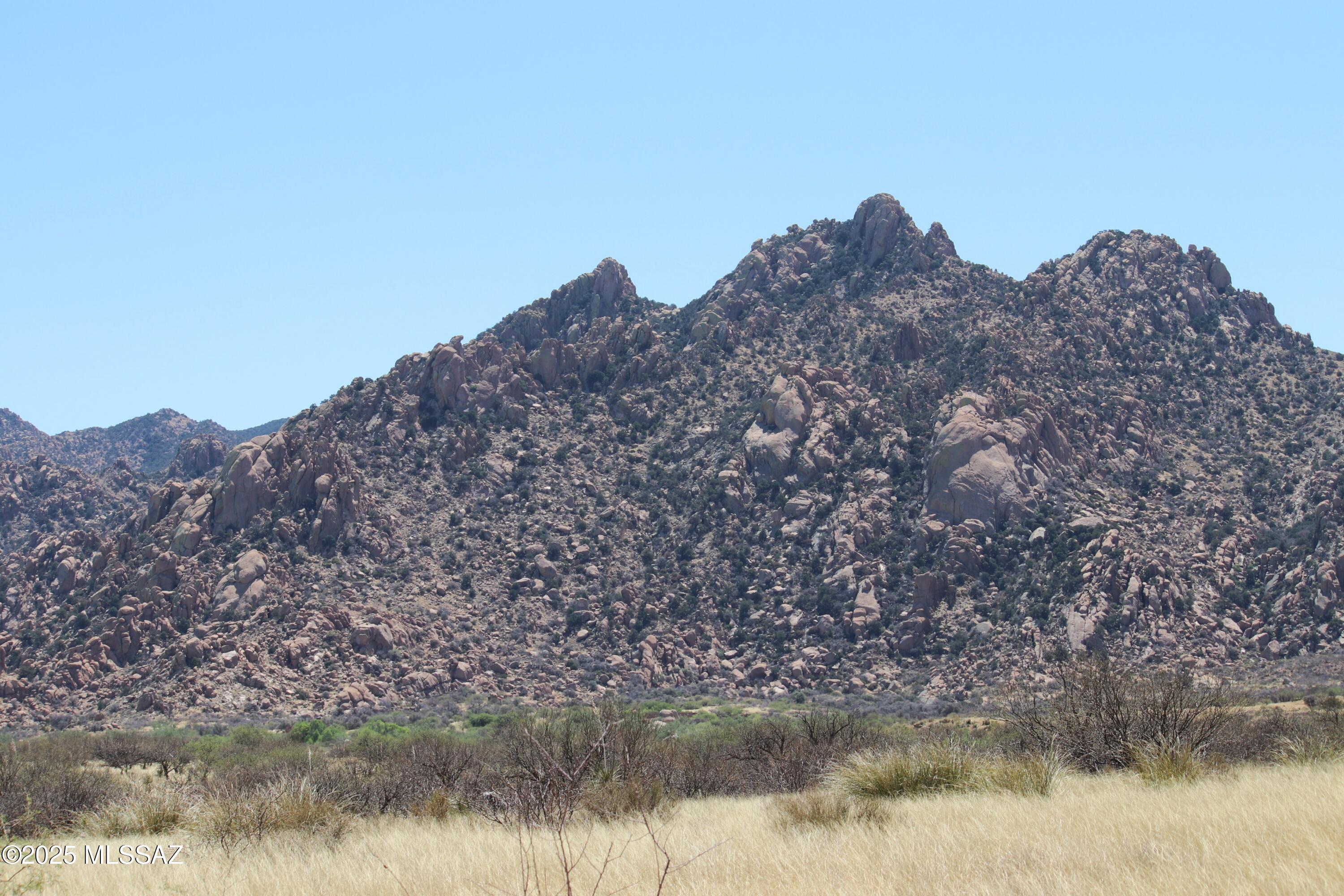 Dragoon Mountain Ranch - Land