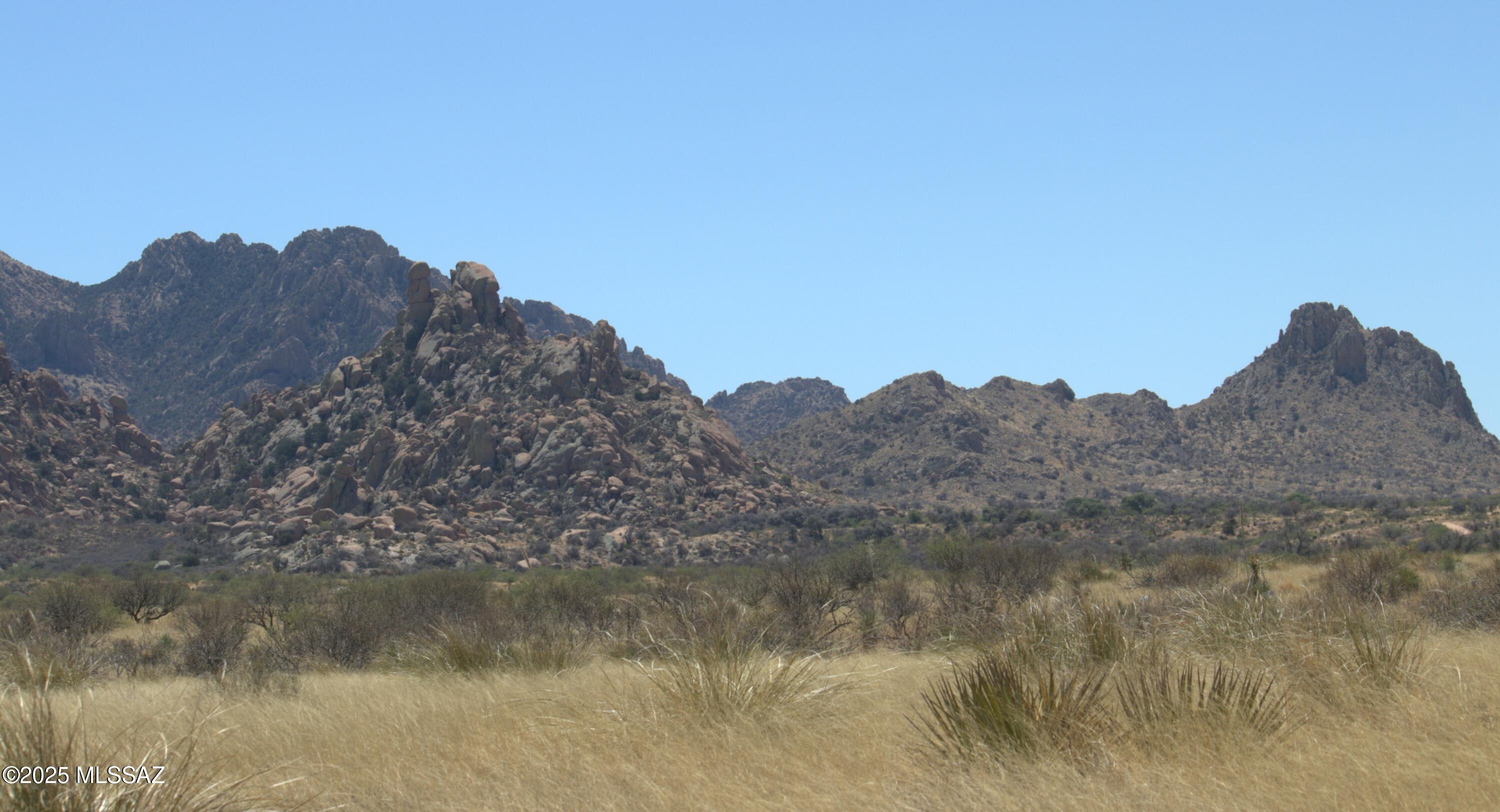 Dragoon Mountain Ranch - Land