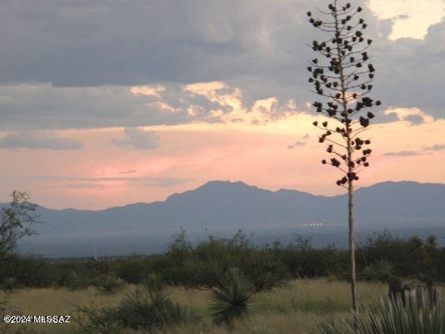 Dragoon Mountain Ranch - Land
