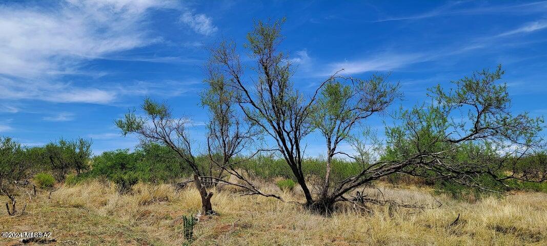 High Lonesome Ranch Estates - Land