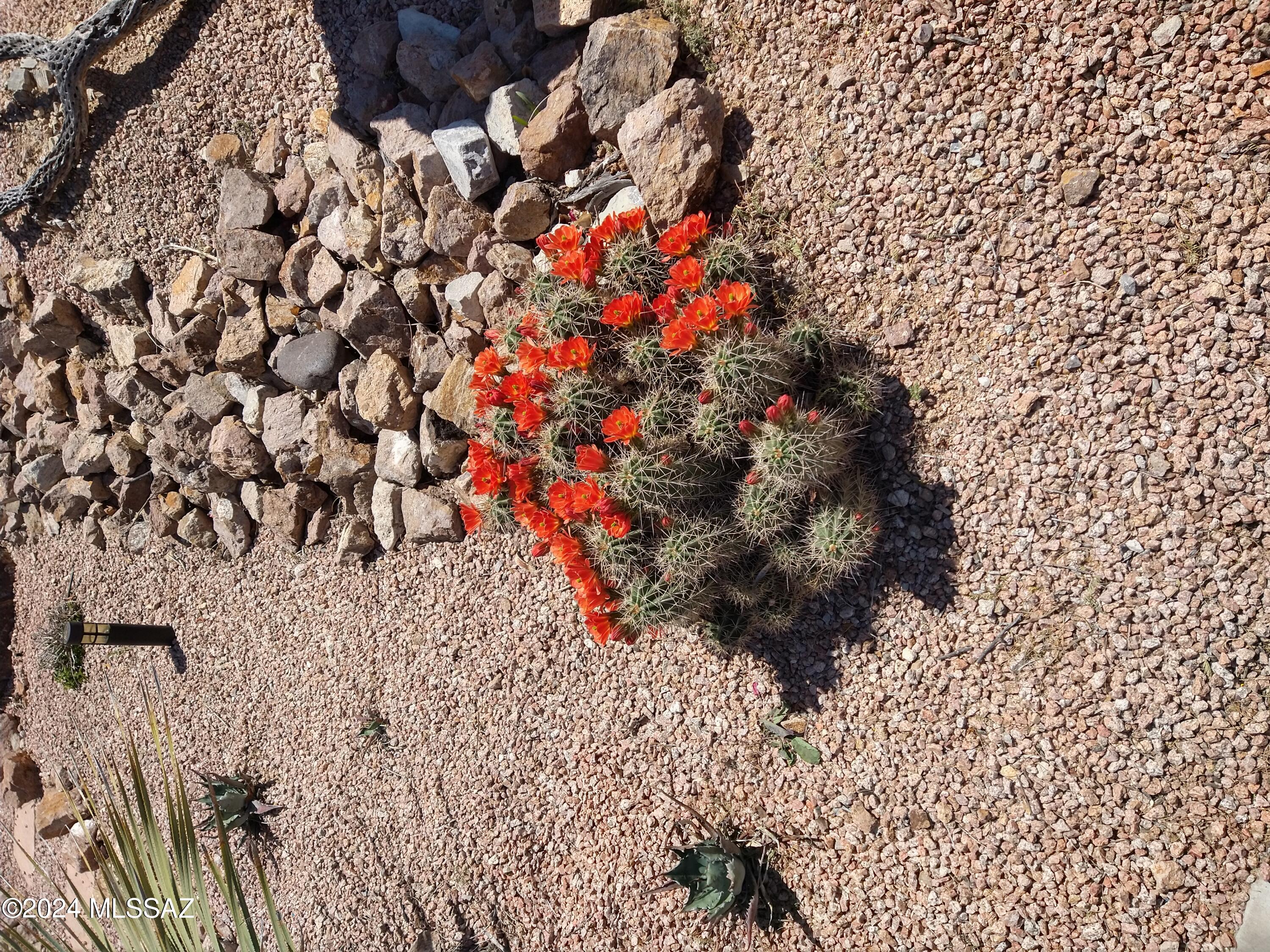 Desert Montage (1-92) - Residential
