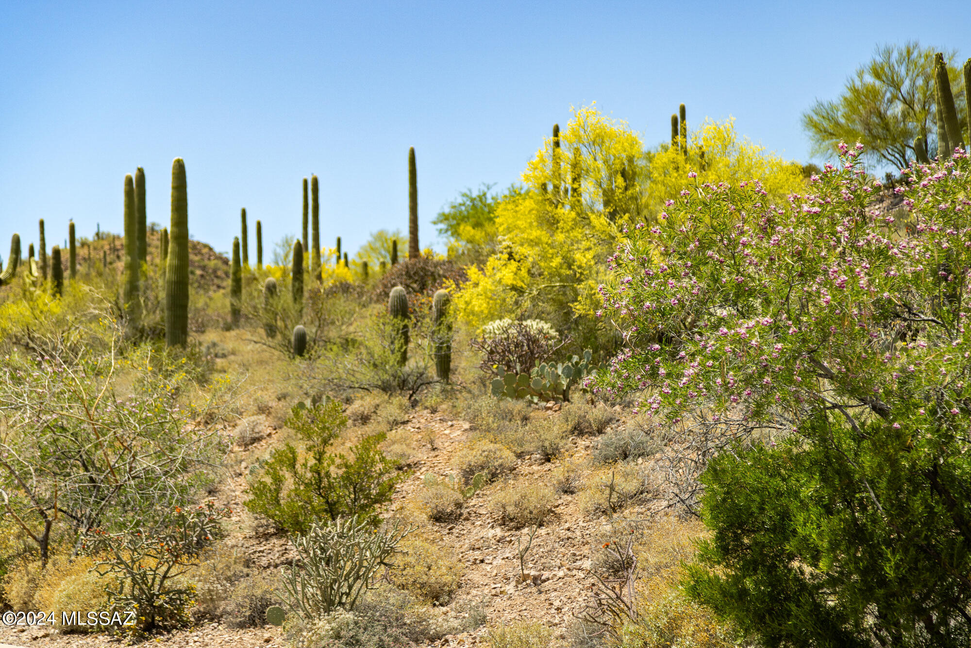 Desert Montage (1-92) - Residential