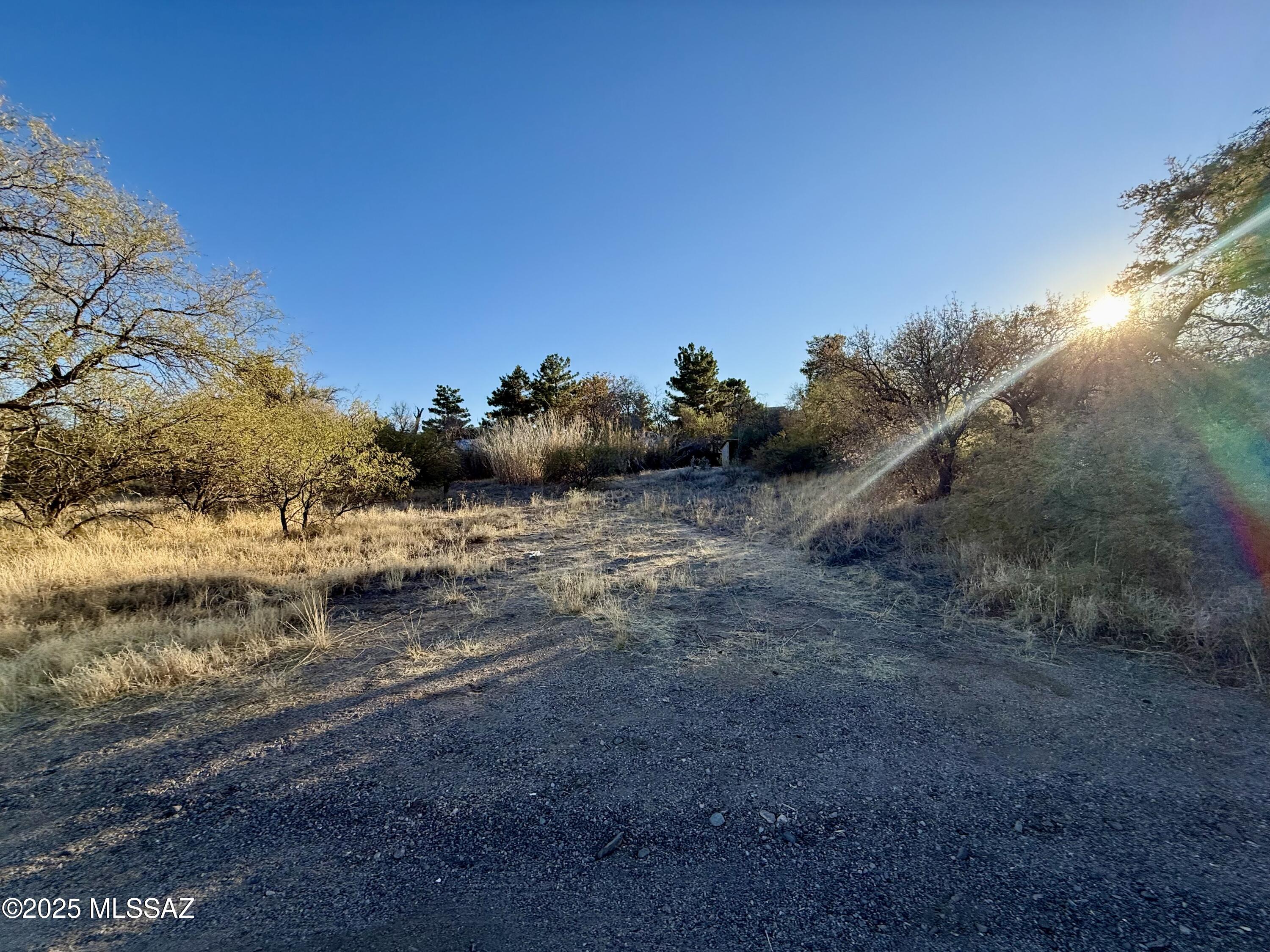 E Mt Lemmon Highway