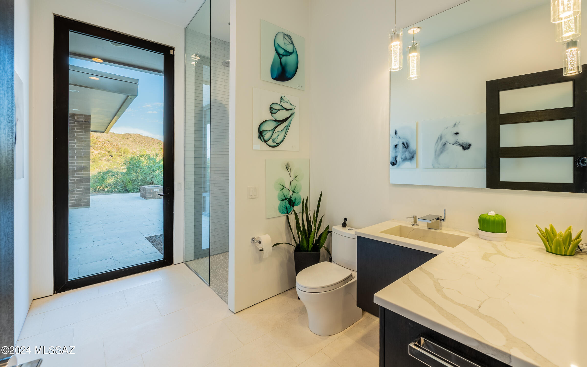 Canyon Pass At Dove Mountain - Residential