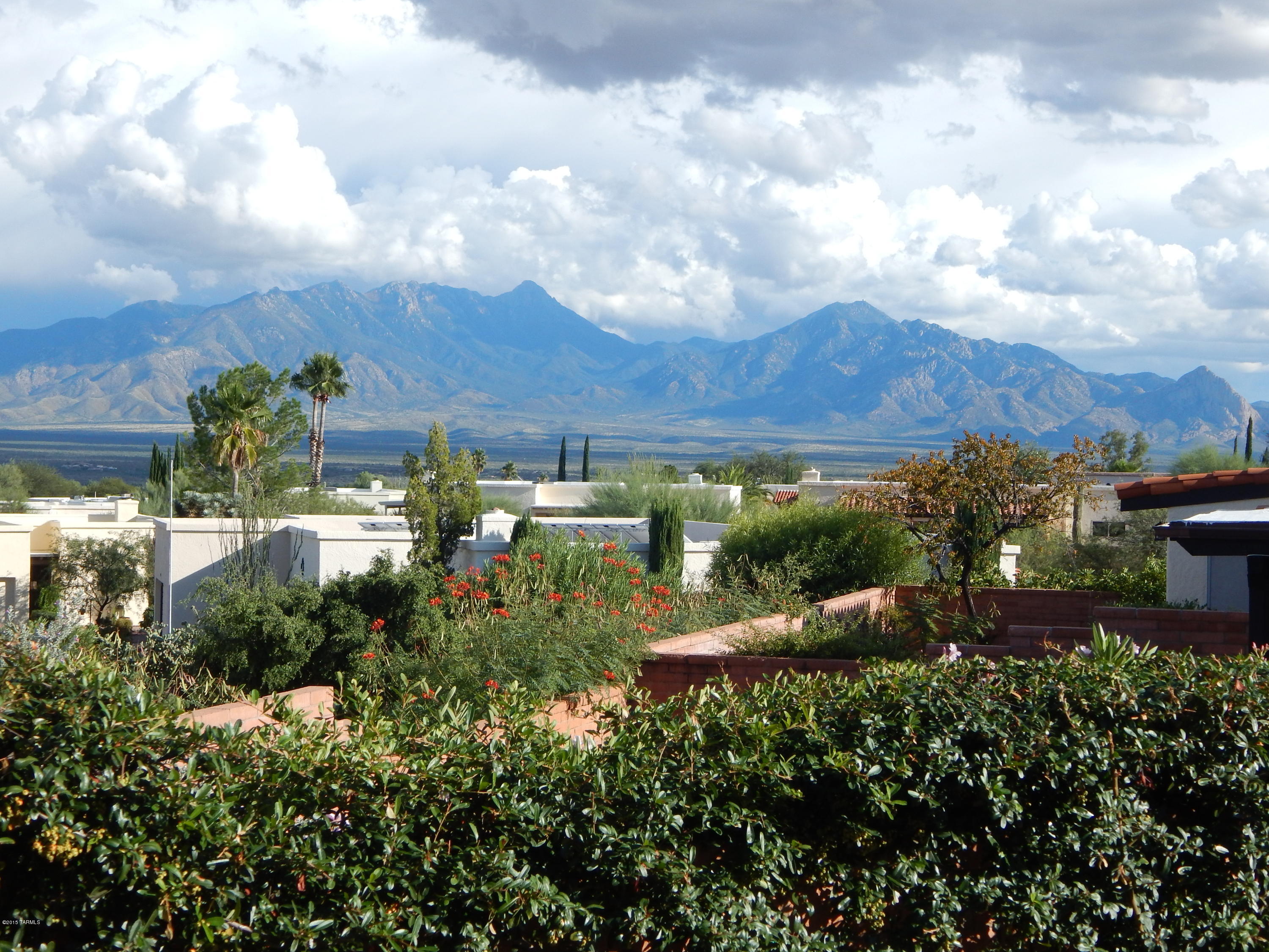 Continental Vistas(1-302) - Residential