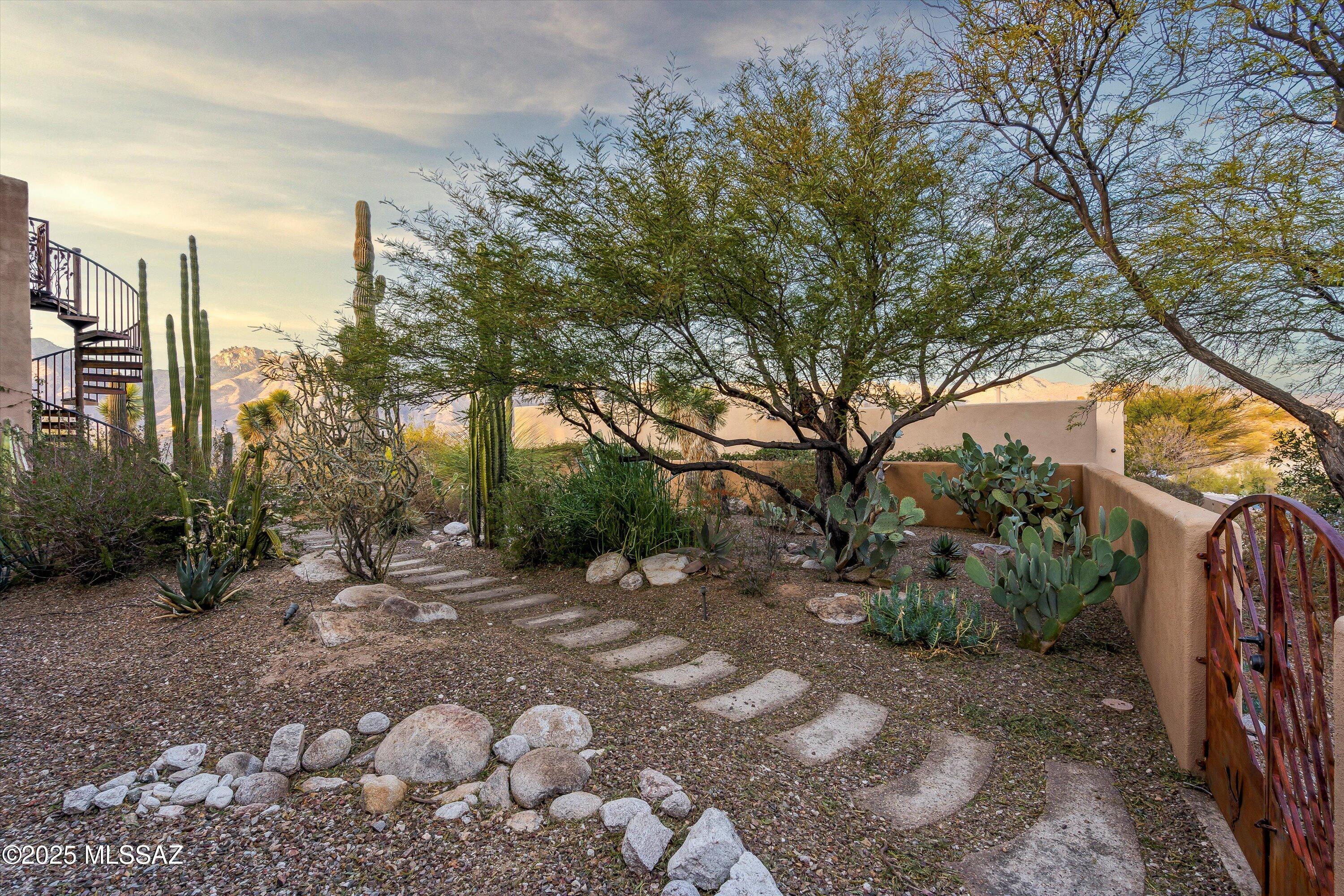 Sabino Mountain (1-290) - Residential