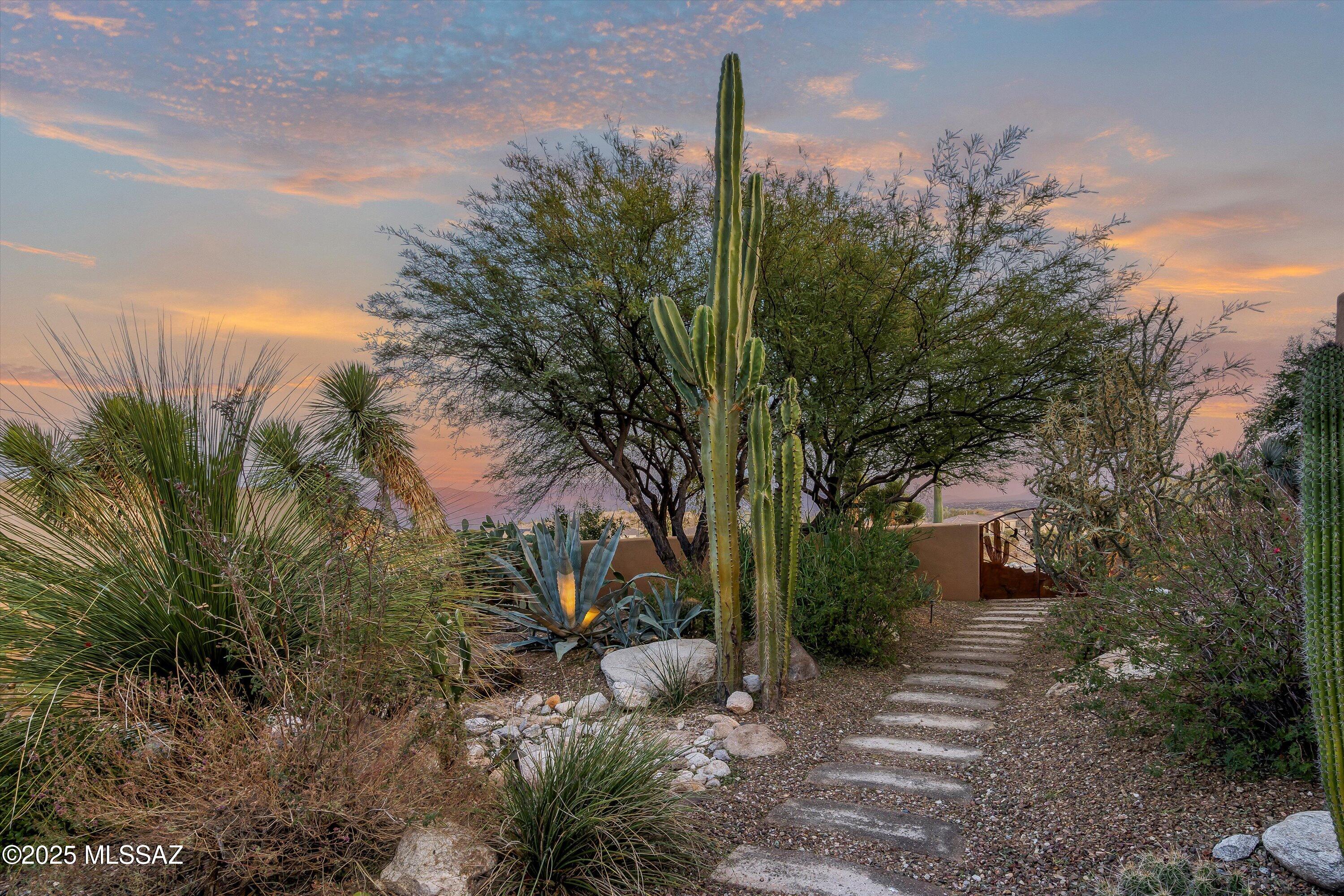 Sabino Mountain (1-290) - Residential