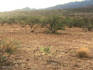 Tubac Foothills Ranch - Land