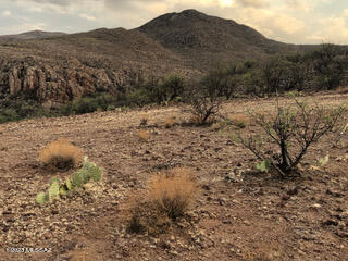 Tubac Foothills Ranch - Land