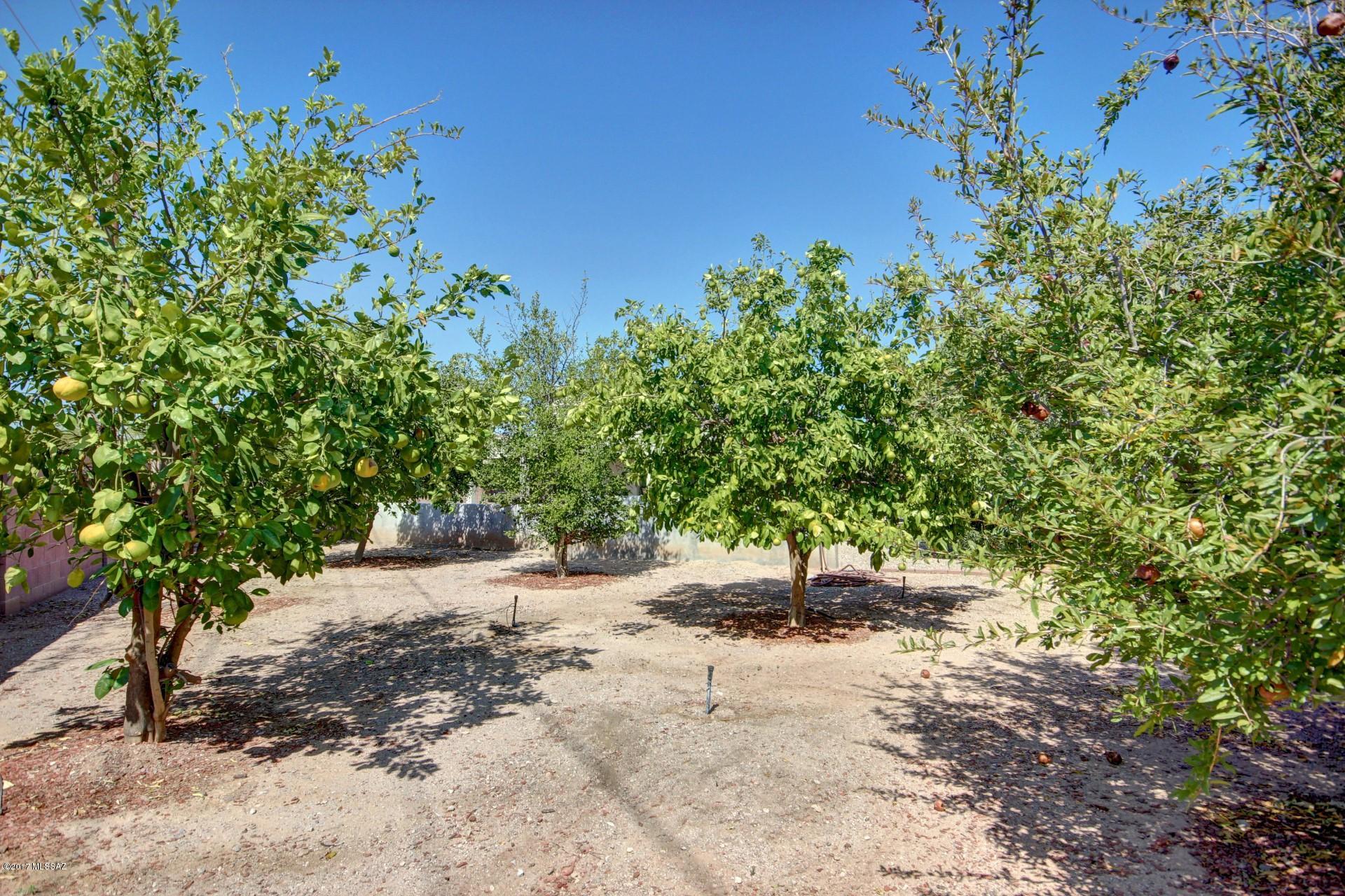 Ironwood Reserve Blk 1 (148-173, 223-295) - Residential