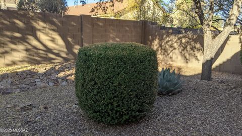 A home in Sahuarita